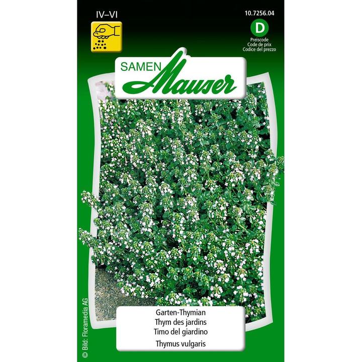 Actual product image Samen Mauser Garden thyme (Herb seeds)