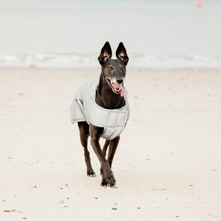 Produktbild Kentucky Dogwear Hundemantel reflektierend & wasserabweisend bauchdeckend 150g (Hundemantel)