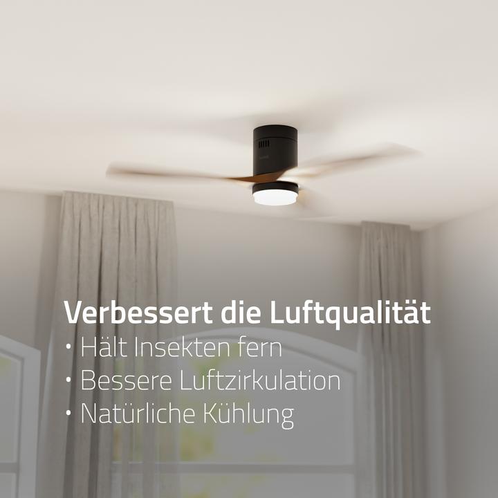 Actual product image Hombli Deckenventilator mit Licht (43 dB)