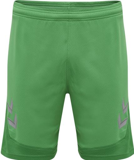 Actual product image hummel Lead Poly Shorts (S)