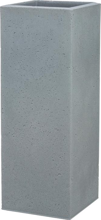 Stony, Grey