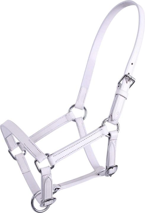 Qhp fohlenhalfter aus leder chico