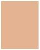 Actual product image Chanel Les Beiges Enlumineur Sunkissed (Sunkissed, Highlighter)