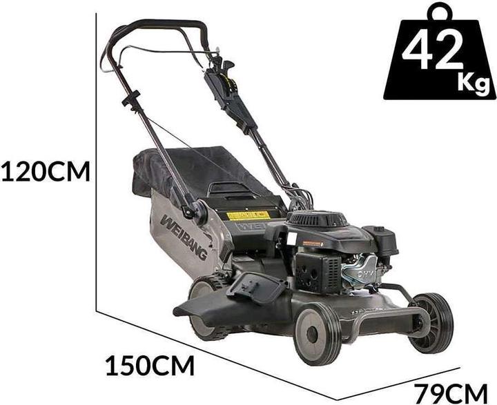 Produktbild Cedrus BenzinRasenmäher mit Radantrieb4in1 196 cm³ Motor (Benzinbetrieb)
