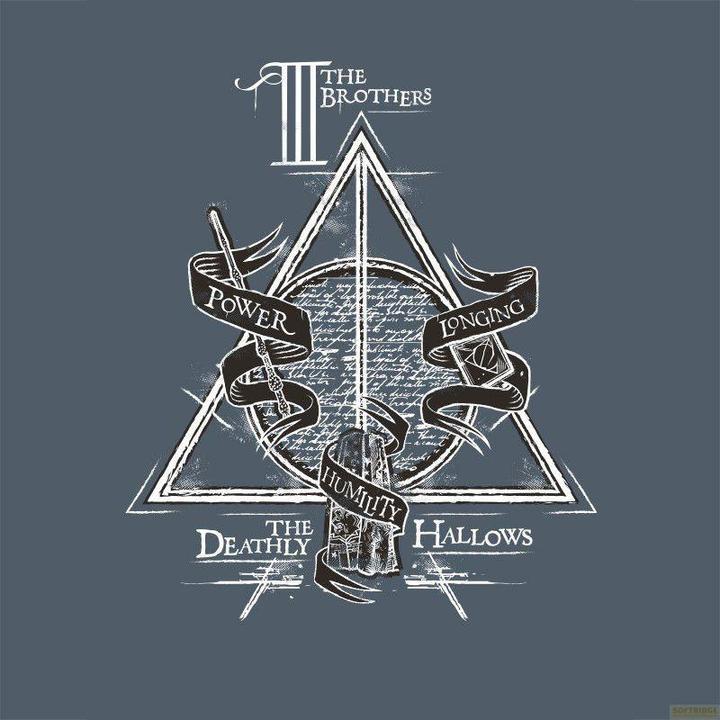 Actual product image ABYstyle HARRY POTTER - Tshirt Deathly Hallows man SS dark grey - new fit (M)