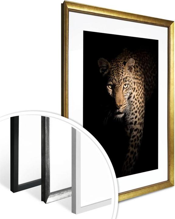 Produktbild Trenddeko Der Leopard (30 x 40 cm)
