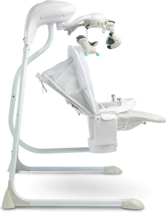 Actual product image Caretero Raffi Gray Electric Swing