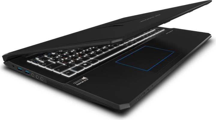 Actual product image Medion Erazer X6601 (15.60", Intel Core i7-6700HQ, 16 GB, 256 GB, CH)