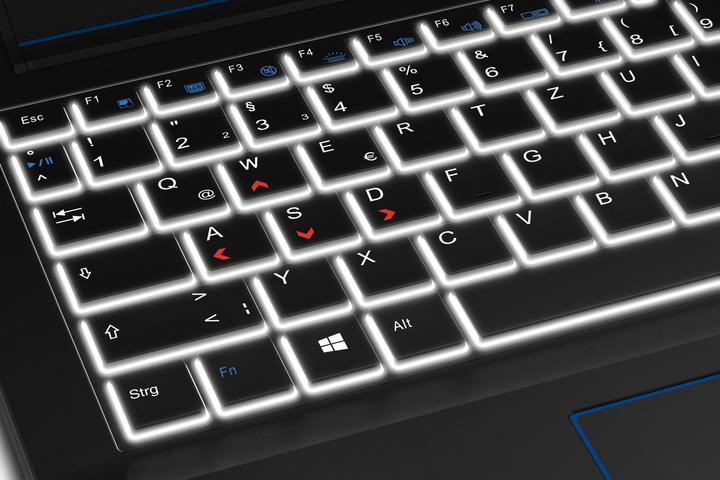 Actual product image Medion Erazer X6601 (15.60", Intel Core i7-6700HQ, 16 GB, 256 GB, CH)