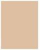 Produktbild Estée Lauder Pure Color Envy (020 Light)