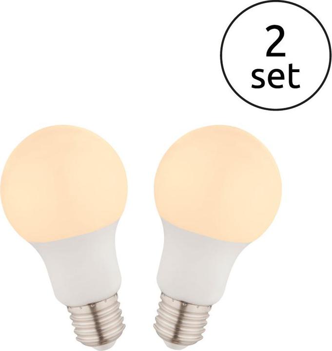 Immagine prodotto Globo Illuminante LED in alluminio 2xE27 LED (E27, 9 W, 810 lm, 2 x, F)