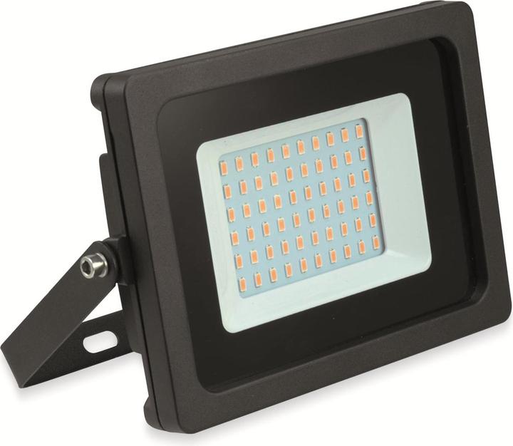 Productafbeelding Eurolite LED-buitenschijnwerper IP FL 30 SMD (IP65)
