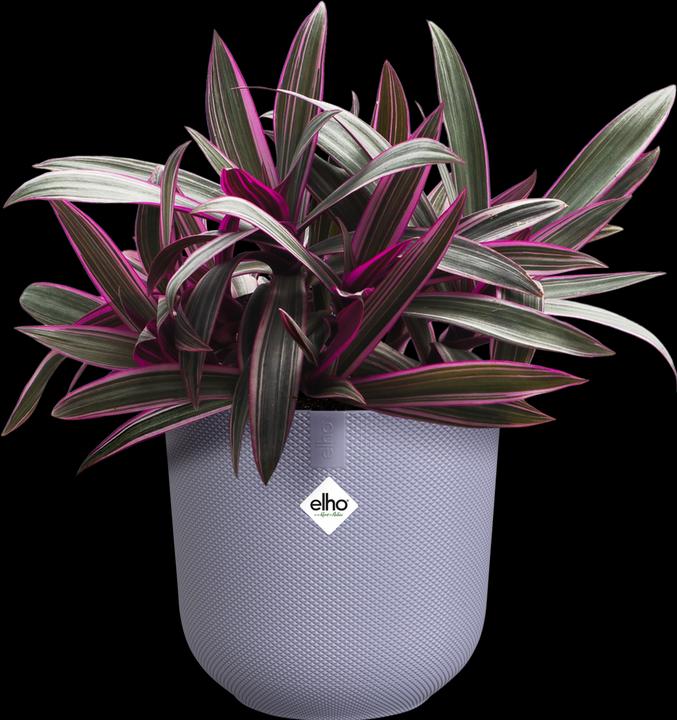 Produktbild Elho Jazz Rund (18.90 cm)