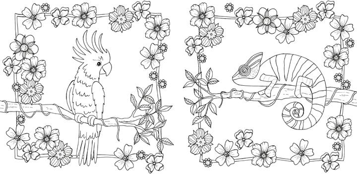 Produktbild Tropical Flowers – Exotische Blumen- und Pflanzen-Motive ausmalen