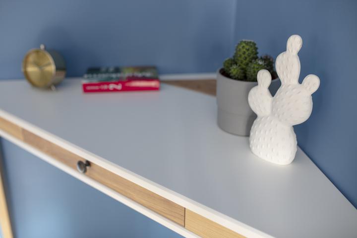 Actual product image Ragaba Ashme