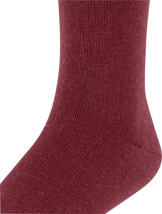 Produktbild Falke Comfort Wool KH (19 - 22)