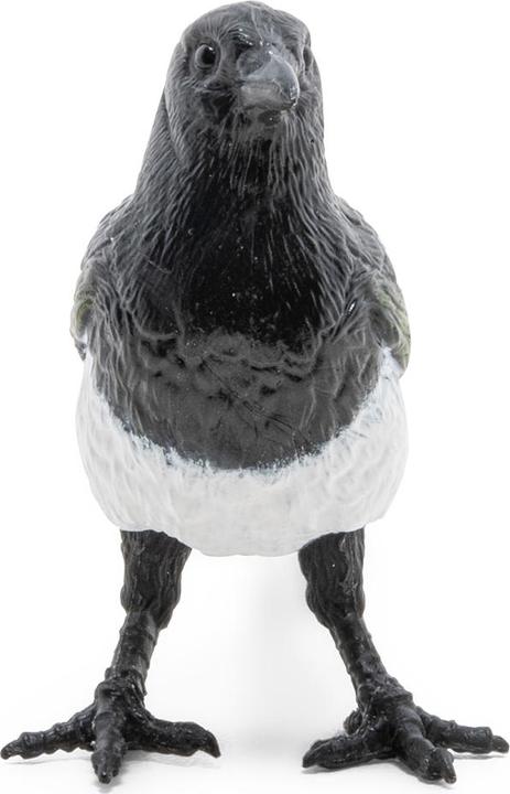 Actual product image Papo Magpie