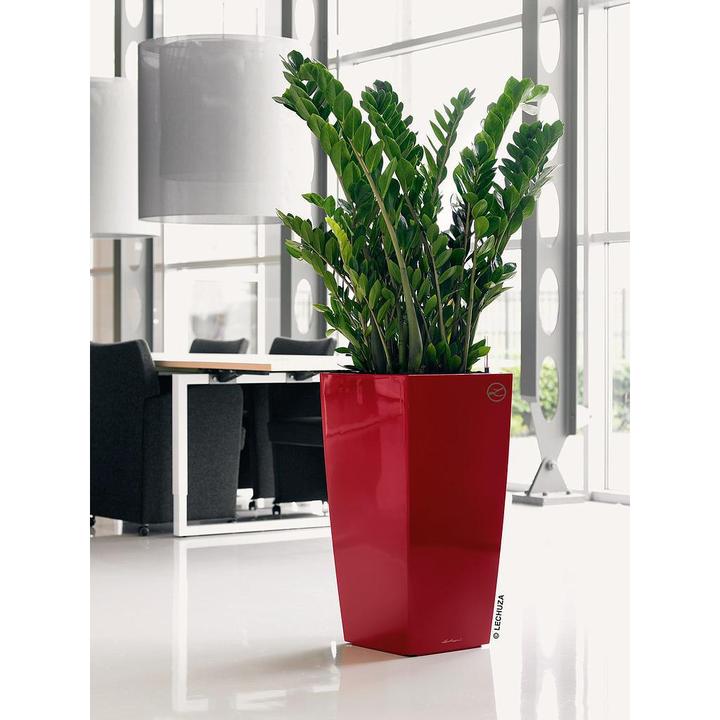 Actual product image Lechuza Cubico (22 cm)