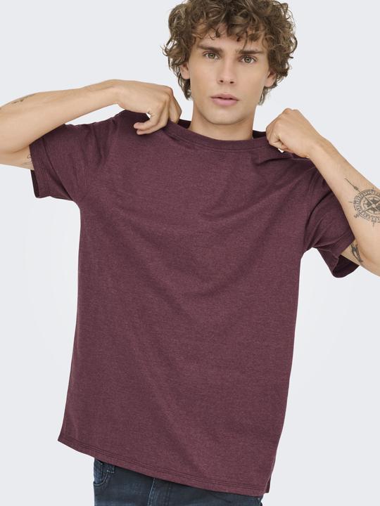 Actual product image Only & Sons Onsmax Life Ss Stitch Tee Noos (L)