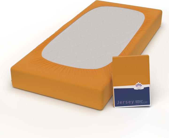 Image du produit Lotus Bettwaren Jersey Fix Comfort (140-160 x 200 cm)