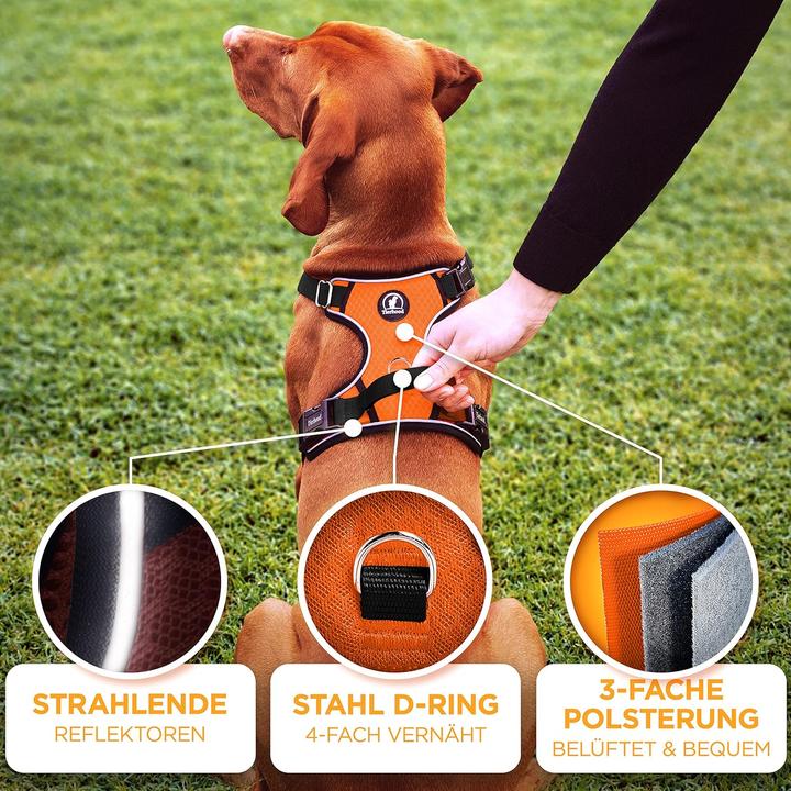 Image du produit Tierhood Reflektierendes Anti Zug Hundegeschirr (Chien)