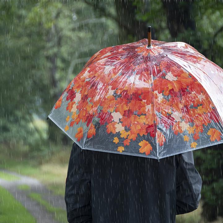 Image du produit Esschert Design Parapluie Couronne d'arbre Automne