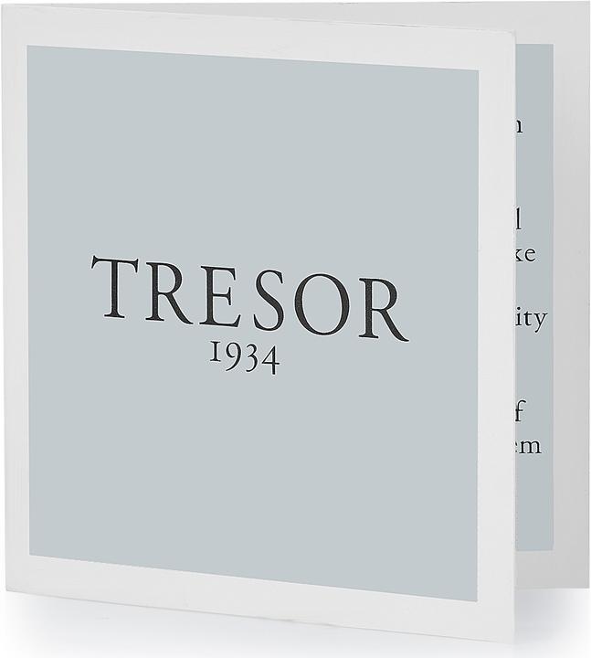 Actual product image Trilani Ladies sterling silver cubic zirconia silver - 26769 (56, 925 Silver)