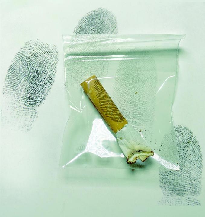 Produktbild TOPP Crime Files – Fallakte: Das letzte Kapitel des L. Birkenwald – Das geniale Krimispiel mit über (Deutsch)