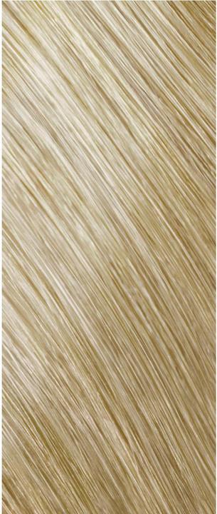 Image du produit Goldwell Dimensions légères Couleur douce (10-P Blond perle pastel)