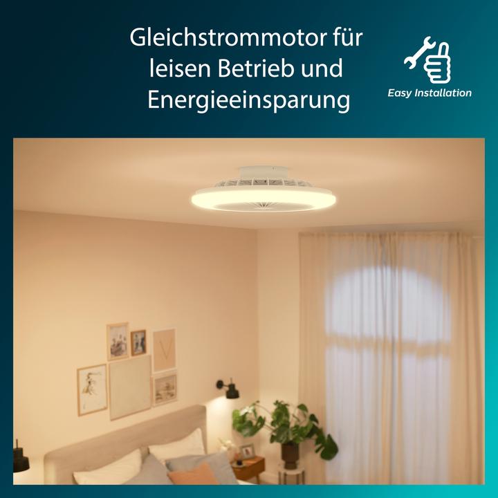 Actual product image Signify Philips Amigo (6500 lm)