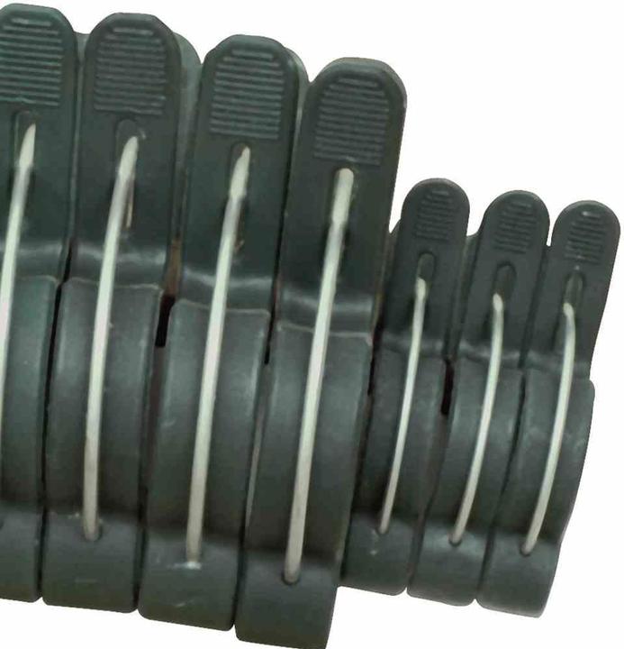 Actual product image Siena Garden MixPack (6 cm, 8 cm)