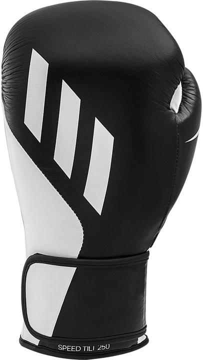 Actual product image adidas Speed Tilt 250 (16 OZ, One size)