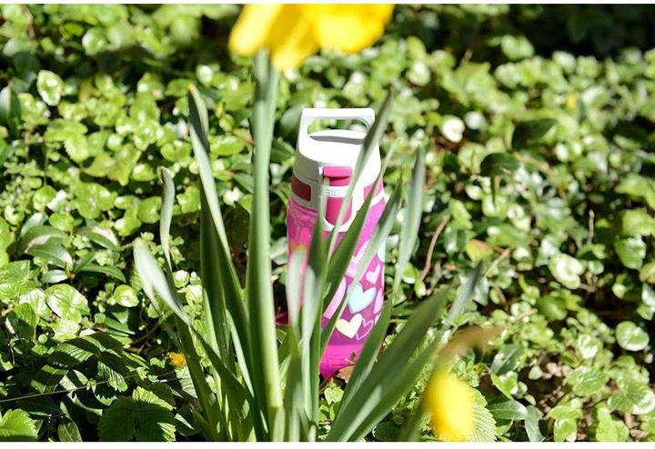 Immagine prodotto Sigg Viva One (0.50 l)