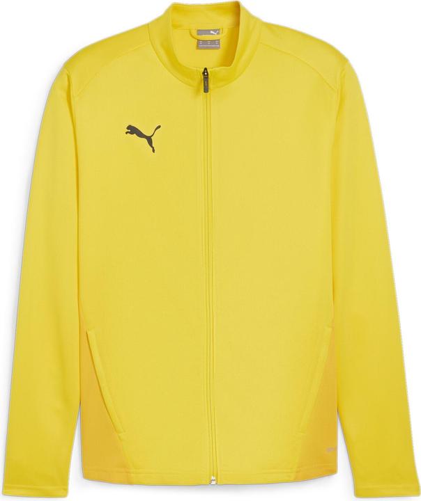 Puma teamGOAL Training Jacket