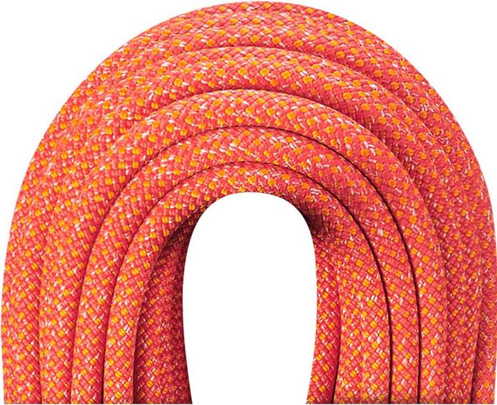 Immagine prodotto Edelrid Corda da arrampicata Heron Eco Dry 9.8mm (70 m)