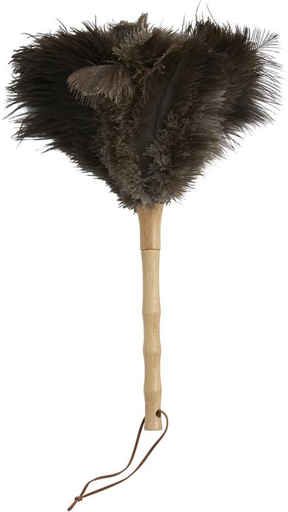 Actual product image Nordal Ostric (1 pcs.)