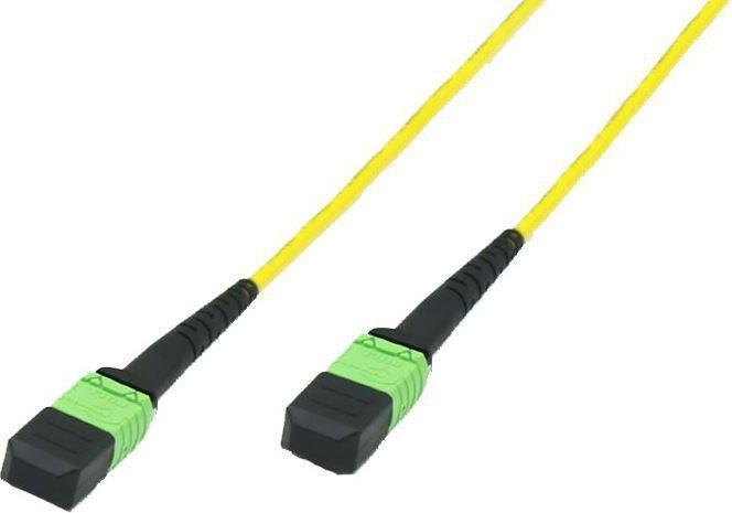 Immagine prodotto MicroConnect Fibra MTP - MTP F-F 1m OS2 (1 m)