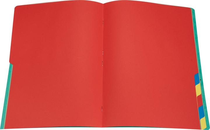 Image du produit Biella TOP COLOR - Dossier 12 pcs (A4, 1 x)