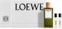 Actual product image Loewe ESENCIA EDP SPRAY 100 ML NAV23 SETS (Eau de parfum, 100 ml)