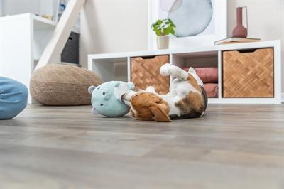 Actual product image Trixie Pluche Beer Mintgroen Voor Puppy (Plush toy dog)