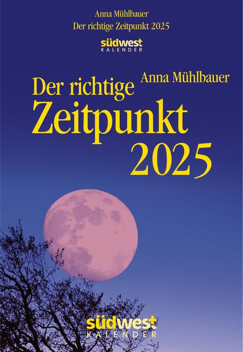 The right time 2025 - daily tear-off calendar to put up or hang up (12 x 17 cm, German)