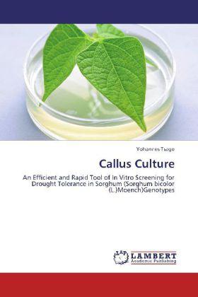 Actual product image Callus Culture (Yohannes Tsago, 2012)