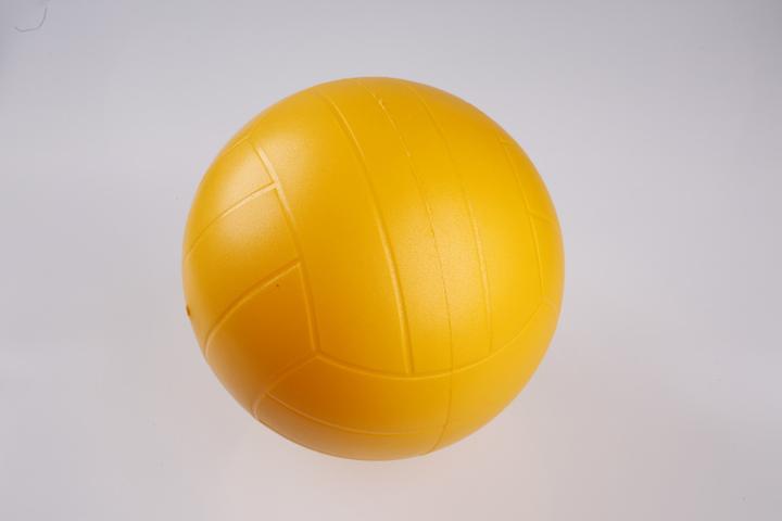 Immagine prodotto ProSoft Kübler Sport® ® Volleyball (5)