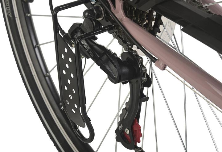 Actual product image Hollandia Dutch bike ladies 28" City Next RH 50 cm 6 gears (50 cm)