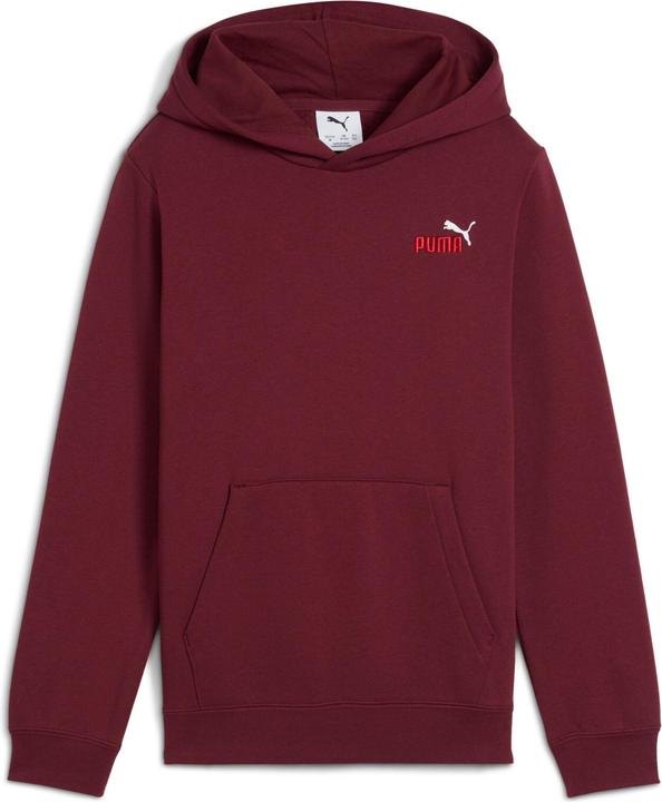 Puma ESS 2 COLOR Small No. 1 Logo Hoodie FL B