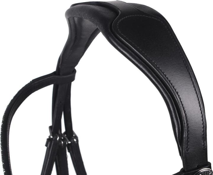 Actual product image Qhp Lupine