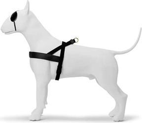Actual product image MORSO Norwegian Hondentuig Gerecycled Gold Caviar Goud (Dog, Dog sport)