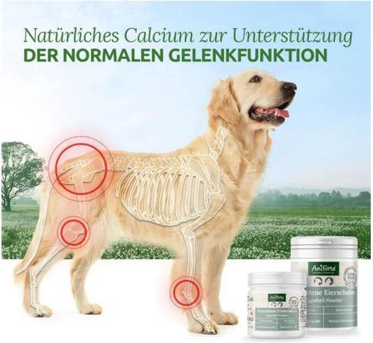 Image du produit AniForte Poudre de coquilles d'oeufs pour chiens et chats (Adulte, 1 pcs, 250 g)