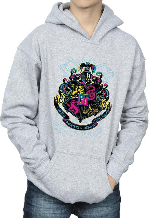 Produktbild Neon Hogwarts Crest Kapuzenpullover Jungen (140, 146)