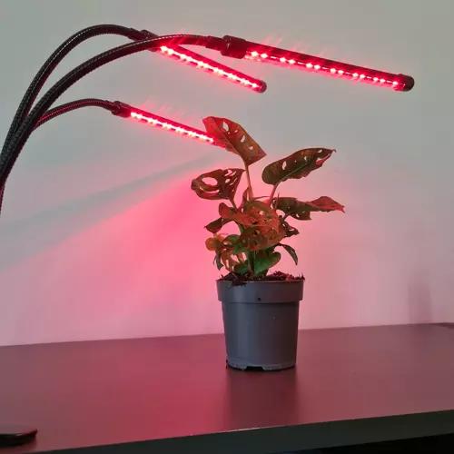 Productafbeelding Gardlov Lamp (LED, 5 V)